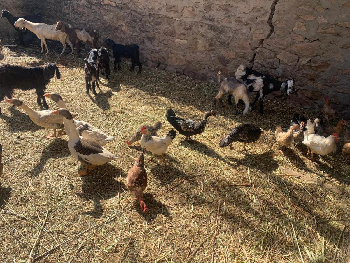 Nubian Farm Aswan Villa Exterior photo